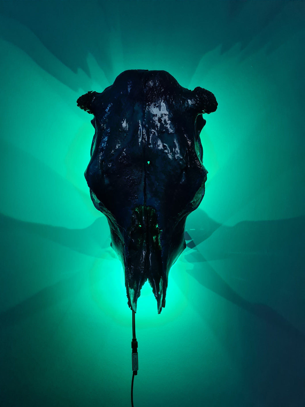 Large genuine cow skull backlit & painted with black/chameleon resin by me