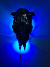 Load image into Gallery viewer, Large genuine cow skull backlit &amp; painted with black/chameleon resin by me