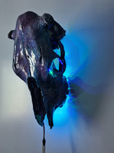 Load image into Gallery viewer, Large genuine cow skull backlit &amp; painted with black/chameleon resin by me
