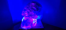 Load image into Gallery viewer, CRYSTAL RESIN SKULL MADE BY ME green flourite green calcite crystals