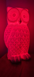 Sale💥STUNNING CERAMIC OWL LAMPS 2 ONLY