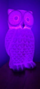 Sale💥STUNNING CERAMIC OWL LAMPS 2 ONLY