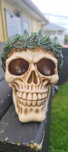 Load image into Gallery viewer, MARIJUANA SKULL LAMP-put together by me