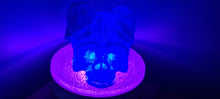 Load image into Gallery viewer, BAPHOMET GOAT SKULL LAMP on druzey crystal base -made by me