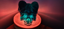 Load image into Gallery viewer, BAPHOMET GOAT SKULL LAMP on druzey crystal base -made by me