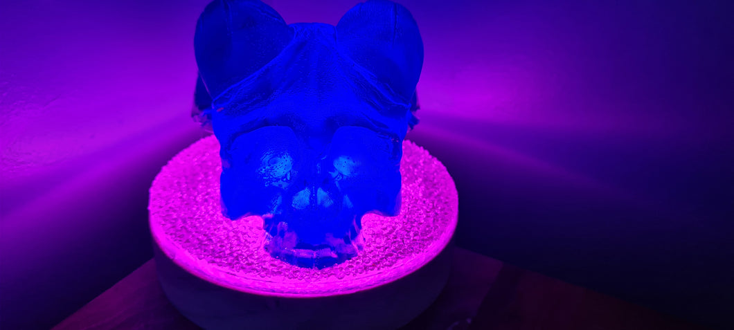 BAPHOMET GOAT SKULL LAMP on druzey crystal base -made by me