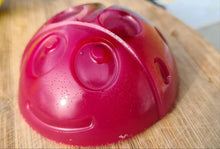Load image into Gallery viewer, KIDDIES SOAPS( Handpoured)