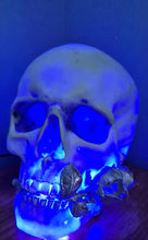 Load image into Gallery viewer, LARGE WHITE SILVER ROSE COLOUR CHANGING SKULL LAMP -made by me