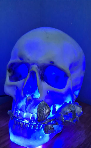 LARGE WHITE SILVER ROSE COLOUR CHANGING SKULL LAMP -made by me