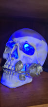 Load image into Gallery viewer, LARGE WHITE SILVER ROSE COLOUR CHANGING SKULL LAMP -made by me