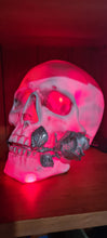 Load image into Gallery viewer, LARGE WHITE SILVER ROSE COLOUR CHANGING SKULL LAMP -made by me