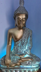 LARGE SITTING BUDDHA LAMP(put together by me)