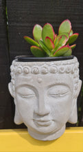 Load image into Gallery viewer, Sale💥BUDDHA CEMENT PLANT POT