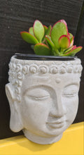 Load image into Gallery viewer, Sale💥BUDDHA CEMENT PLANT POT