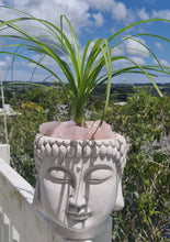 Load image into Gallery viewer, TERRACOTTA BUDDHA HEAD PLANTER POT