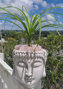 buddha face planter pot TERRACOTTA BUDDHA HEAD PLANTER POT – Caz's candle creations