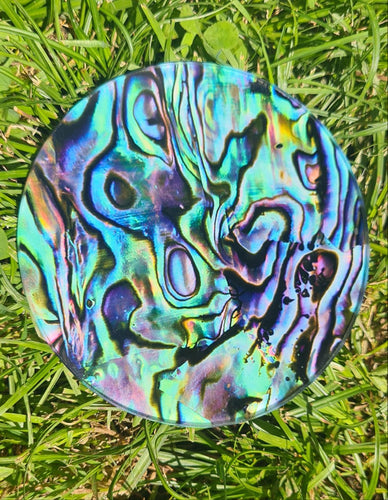 PAUA SET 6 GLASS COASTERS