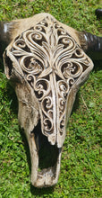 Load image into Gallery viewer, CARVED BULL SKULL NO1