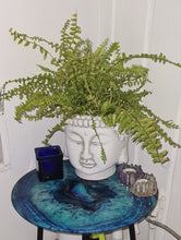 Load image into Gallery viewer, TERRACOTTA BUDDHA HEAD PLANTER POT