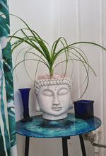 Load image into Gallery viewer, TERRACOTTA BUDDHA HEAD PLANTER POT