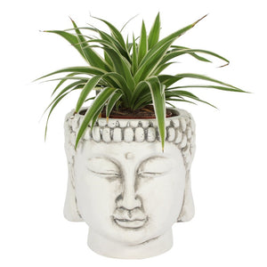 TERRACOTTA BUDDHA HEAD PLANTER POT