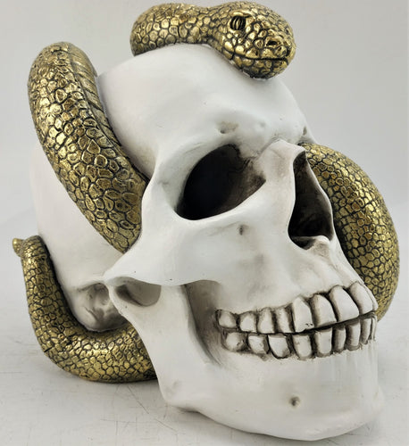 WHITE SNAKE SKULLS
