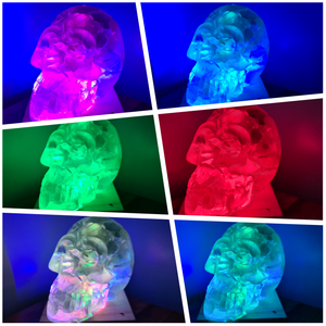 CRYSTAL RESIN SKULL MADE BY ME green flourite green calcite crystals