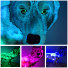 Load image into Gallery viewer, UNIQUE LARGE WOLF LAMP-made by me