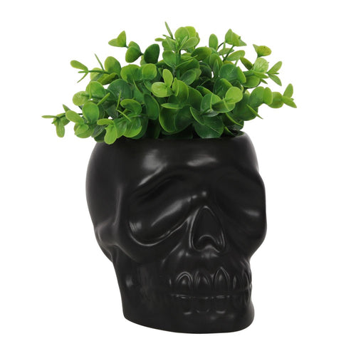 SKULL POT PLANT HOLDER