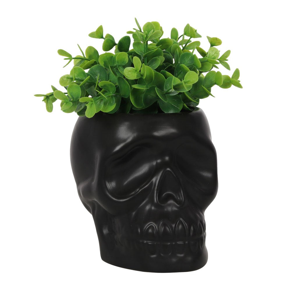 SKULL POT PLANT HOLDER