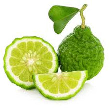 Load image into Gallery viewer, DEVINE MASSAGE OIL essential oil or fragrance oil new 200ml