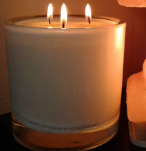 Load image into Gallery viewer, XL RIBERRY RIVERMINT SOY/COCONUT CANDLES LARGE